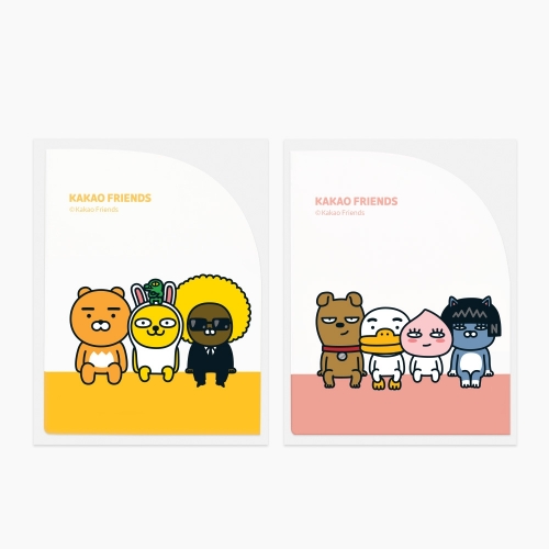 [카카오프렌즈] 포켓스티커 / 80x125mm / 1개입